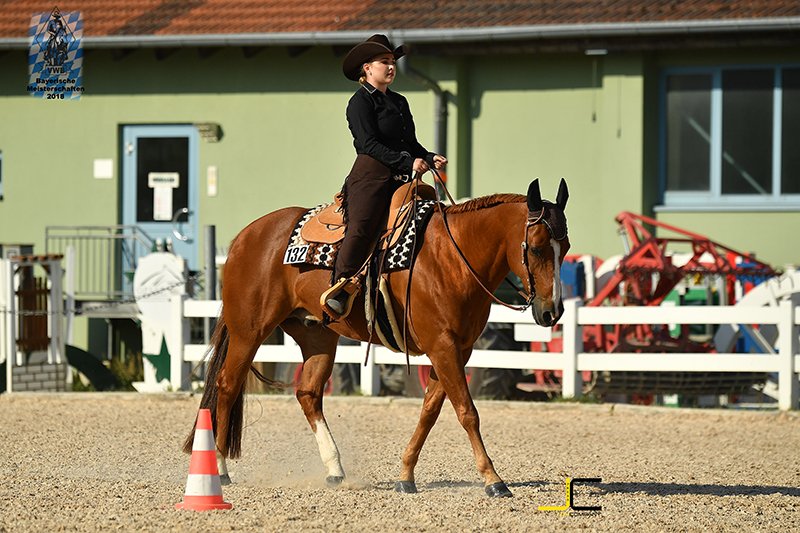 Westernreiten in Mecklenburg-Vorpommern auf wittelsbuerger.com - alle ...